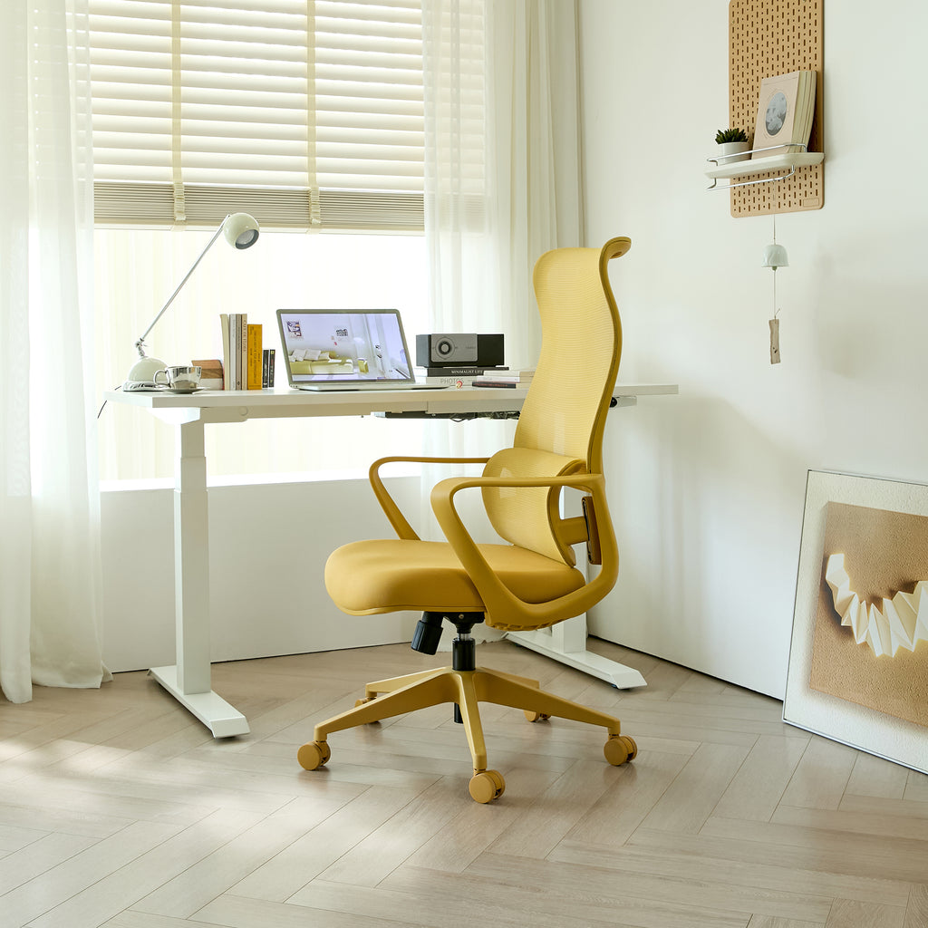 Ergonomic Colorful Office Chair 350LBS Home Office Mesh Breathable High Back, With Adjustable Lumbar Support Computer Chair, 