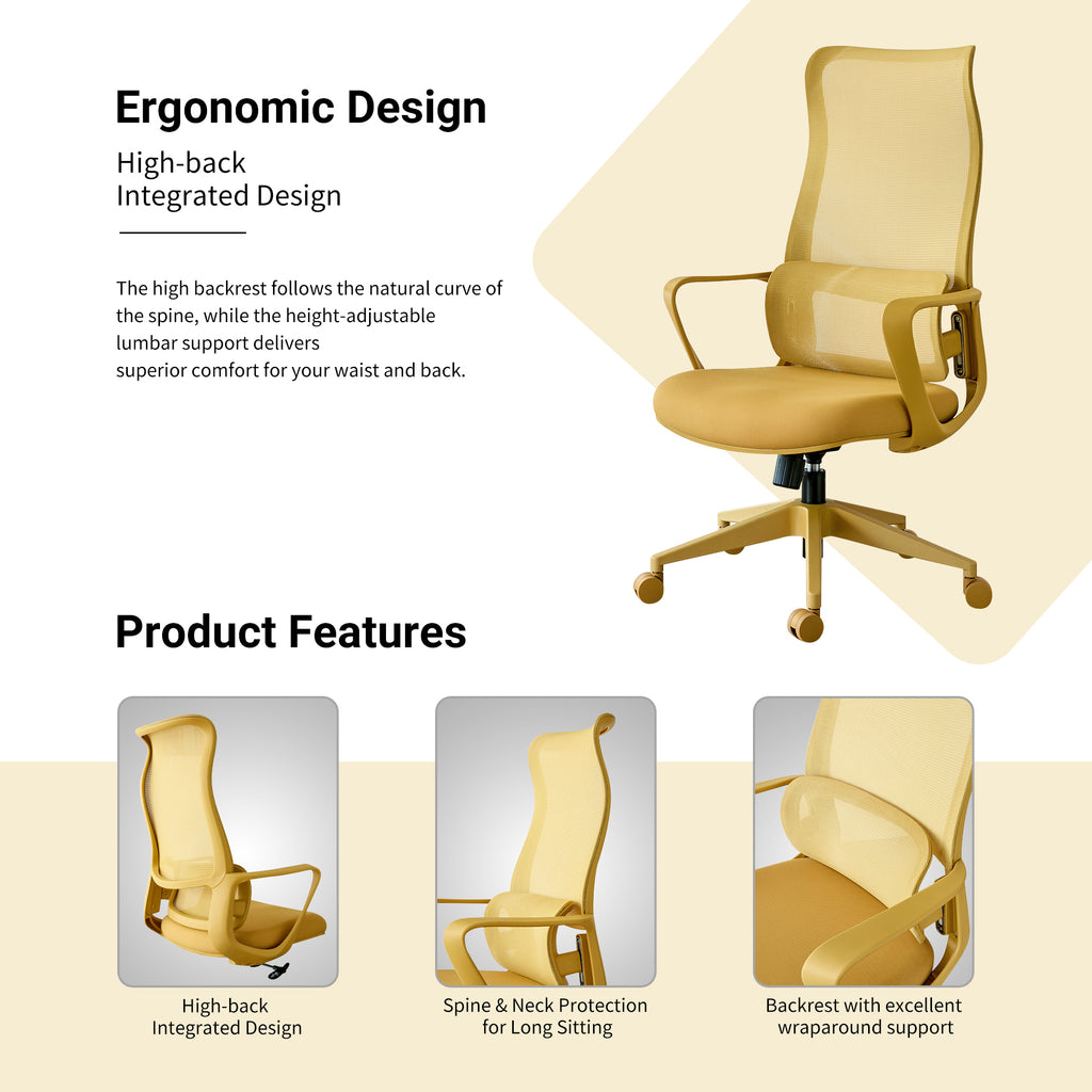 Ergonomic Colorful Office Chair 350LBS Home Office Mesh Breathable High Back, With Adjustable Lumbar Support Computer Chair, 