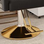 Professional Hydraulic Barber Chair with 360° Swivel, Adjustable Height, Stainless Steel Armrests & Reclining Backrest in Black & Gold - Grand Goldman Shop
