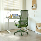 Ergonomic Colorful Office Chair 350LBS Home Office Mesh Breathable High Back, With Adjustable Lumbar Support Computer Chair, 