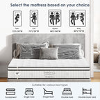 Queen Size Mattress,12 Inch Hybrid Mattress, Individually Pocketed Innerspring, Medium Firm - Grand Goldman Shop