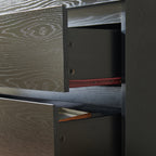 4 Drawer Dresser,Modern Storage Chest of Drawers,31.5In Black Dresser for Closet with Handle-Free Design, Closet Chests Organizer for Bedroom, Living Room,Black - Grand Goldman Shop
