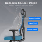 Ergonomic Office Chair,Mesh Desk Chair with Adjustable Lumbar Support and Headrest,Comfy Computer Chair with 3D Armrest Recli