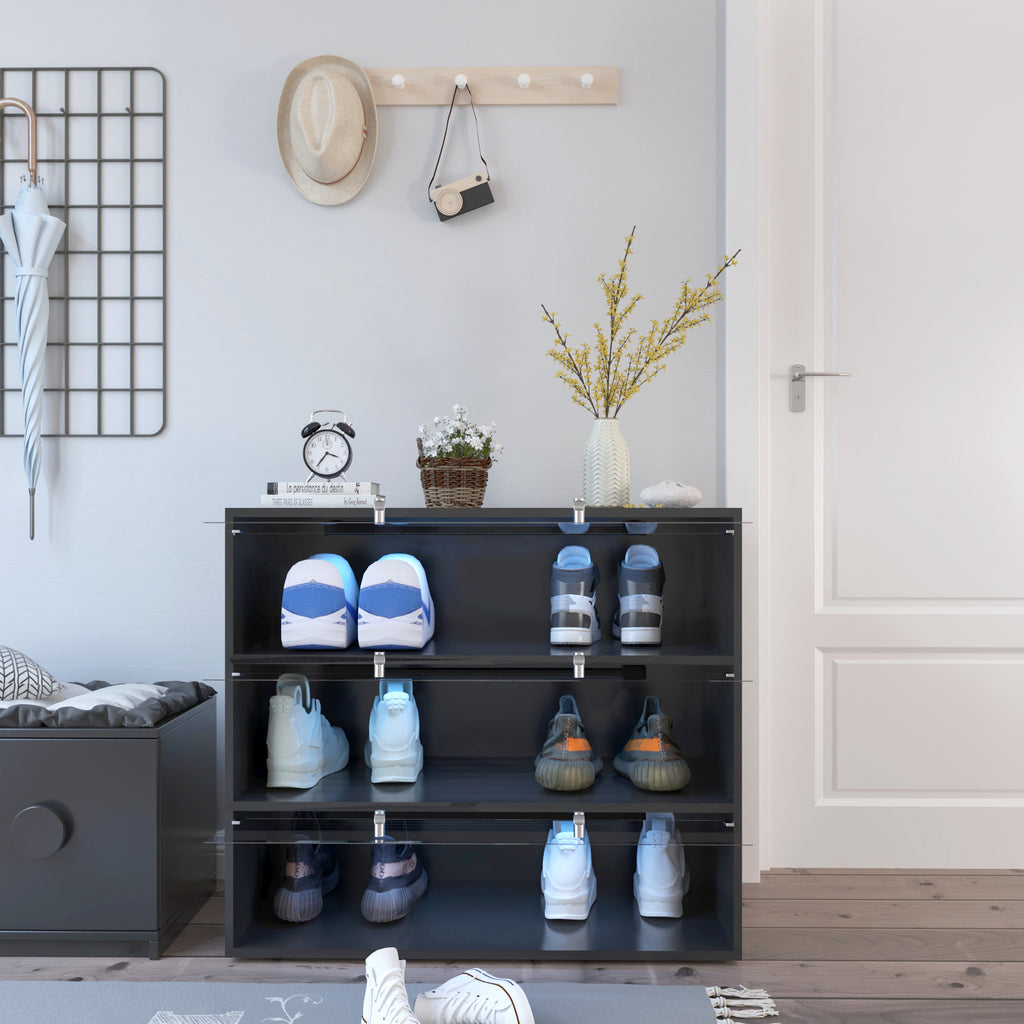Black Glass Door Shoe Box Shoe Storage Cabinet  With RGB Led Light - Grand Goldman Shop