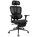 Ergonomic Office Chair with Footrest, High-back Computer Chair with Dynamic Lumbar Support, 2D Headrest & 4D Armrests, Sponge