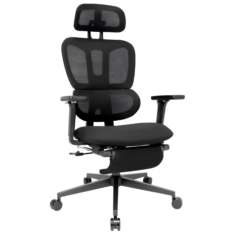 Ergonomic Office Chair with Footrest, High-back Computer Chair with Dynamic Lumbar Support, 2D Headrest & 4D Armrests, Sponge