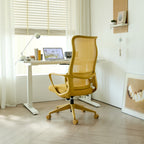 Ergonomic Colorful Office Chair 350LBS Home Office Mesh Breathable High Back, With Adjustable Lumbar Support Computer Chair, 