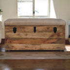 Solid Wood  Buffalo Hide Leather Upholstered Storage Trunk, Beige and Brown - Grand Goldman Shop