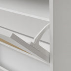 2 Door Shoe Rack, Rattan, Double Layer, Suitable for Living Room, Hallway - Grand Goldman Shop