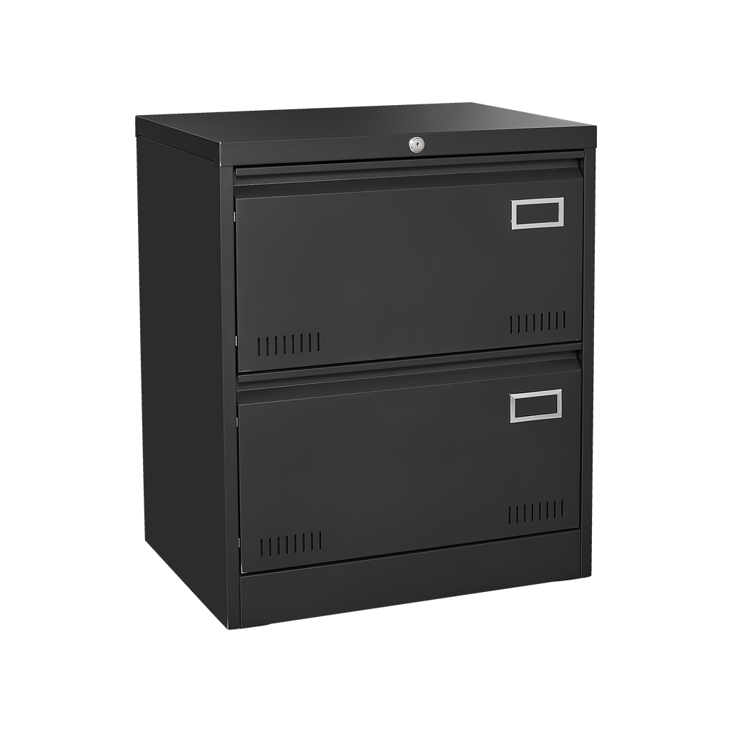 Modern Black Metal 2 Drawer Lateral File Cabinet with Lock for Home Office Use | Premium Home Decor - Grand Goldman