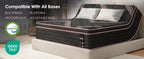 Queen Size Mattress,10 Inch Hybrid Mattress, Individually Pocketed Innerspring, Medium Firm - Grand Goldman Shop