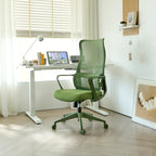 Ergonomic Colorful Office Chair 350LBS Home Office Mesh Breathable High Back, With Adjustable Lumbar Support Computer Chair, 