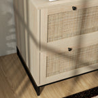Vinsetto 2 Drawer File Cabinet with Lock, Vertical Filing Cabinet with Keys, Rattan Drawers and Adjustable Hanging Bar for Le