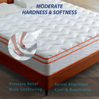King Mattress, 12 Inch Hybrid Mattress Euro Top Medium Firm for Back & Lumbar Support, 100 Night Trial, Individual Pocket Spring Mattresses for Motion Isolation & Pressure Relief - Grand Goldman Shop