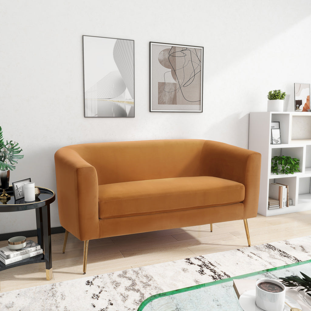 Modern Design Style Loveseat - Grand Goldman Shop