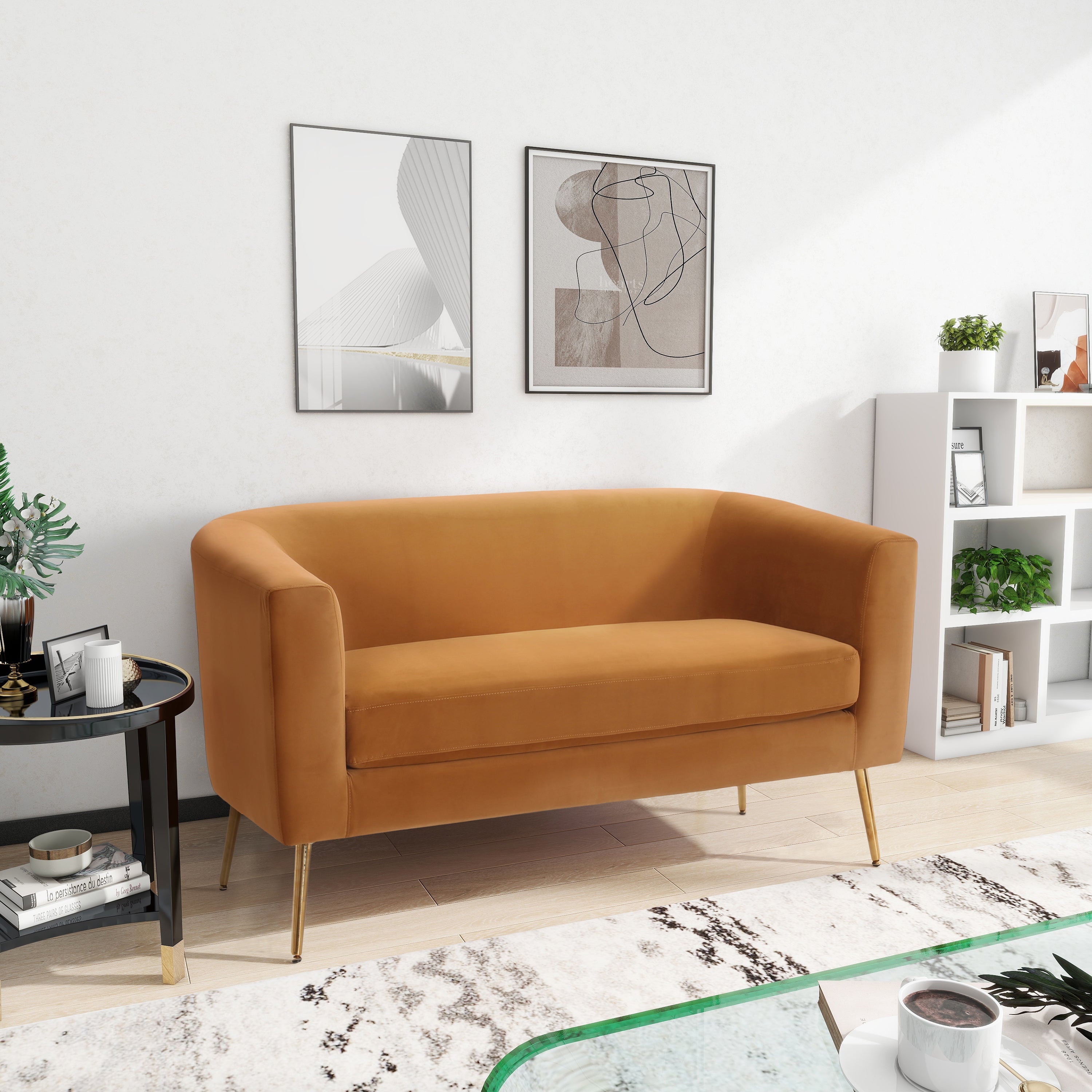 Modern Design Style Loveseat - Grand Goldman Shop