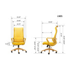 Ergonomic Colorful Office Chair 350LBS Home Office Mesh Breathable High Back, With Adjustable Lumbar Support Computer Chair, 