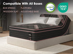 Queen Size Mattress,10 Inch Hybrid Mattress, Individually Pocketed Innerspring, Medium Firm - Grand Goldman Shop