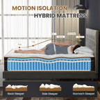 Twin Mattress, 10 Inch Plush Hybrid Mattresses with Gel Memory Foam, Fiberglass-Free Mattress in a Box, Individual Pocket Spring-Motion Isolation-Edge Support, CertiPUR-US Certified - Grand Goldman Shop