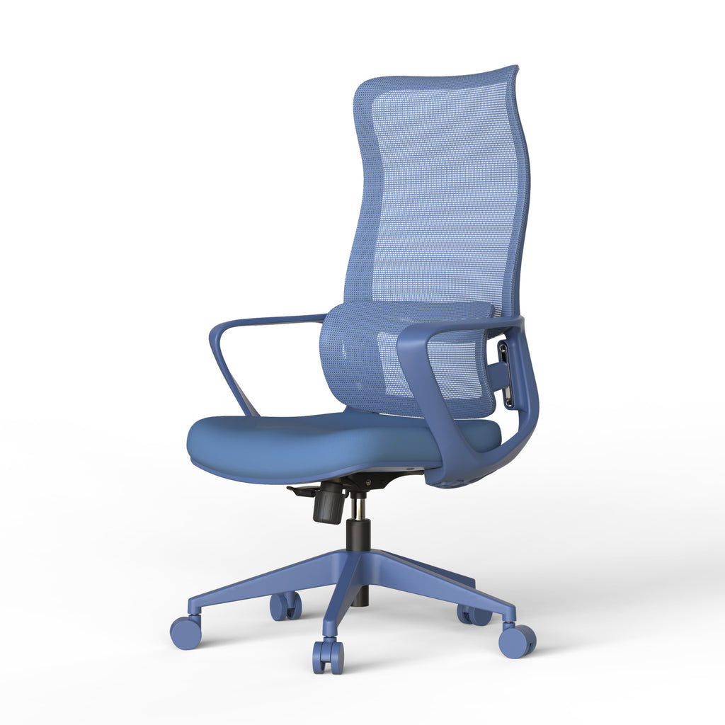 Ergonomic Colorful Office Chair 350LBS Home Office Mesh Breathable High Back, With Adjustable Lumbar Support Computer Chair, 