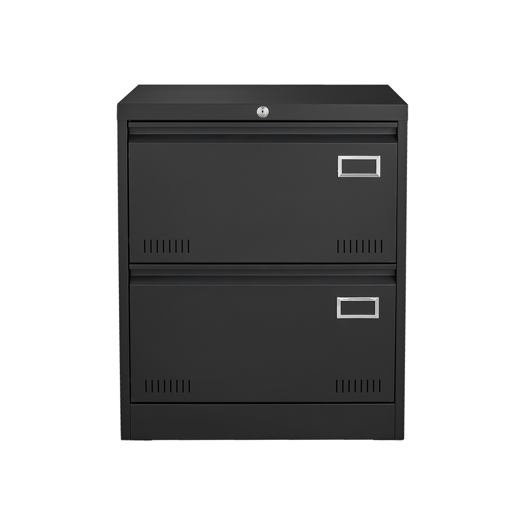 Modern Black Metal 2 Drawer Lateral File Cabinet with Lock for Home Office Use - Grand Goldman