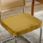 Mid Century Modern Dining Chairs Set of 2, Velvet Accent Chairs with Natural Cane Back & Stainless Chrome Base, Famous Breuer Designed Chairs, Upholstered Rattan Kitchen Chairs,Golden - Grand Goldman Shop