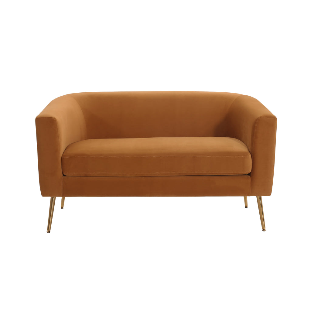 Modern Design Style Loveseat - Grand Goldman Shop