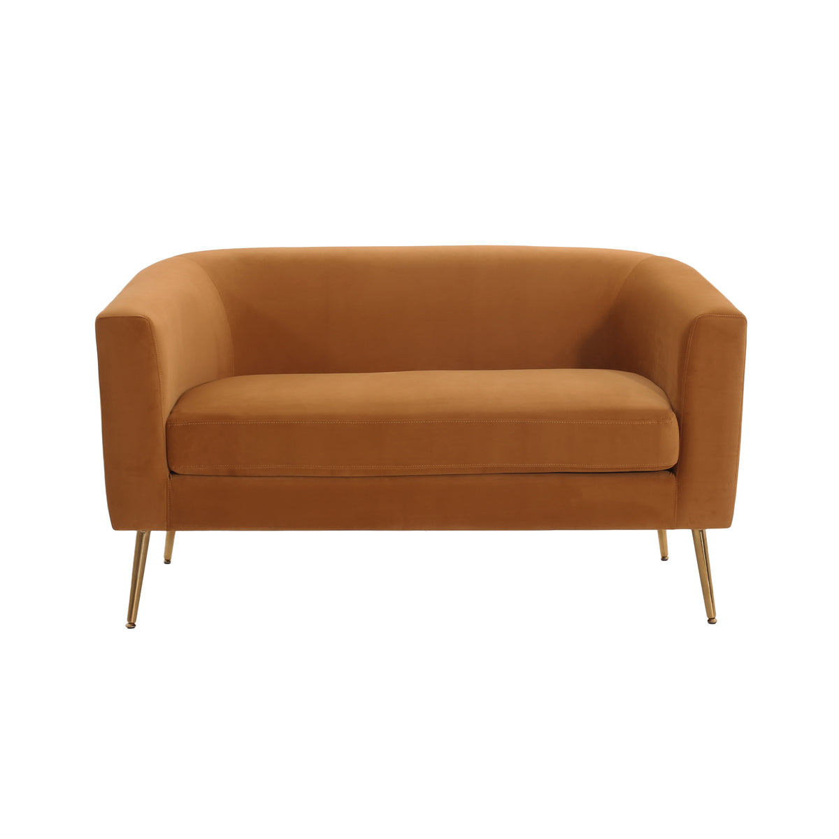 Modern Design Style Loveseat - Grand Goldman Shop