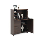 Desk Cabinet, with Storage Drawer & Shelves, Fold-up Desktop, Ideal for Home, Office, Kitchen storage organizer, Dormitory, Small Spaces W31.49'xD13.78'xH47.2' - Grand Goldman Shop