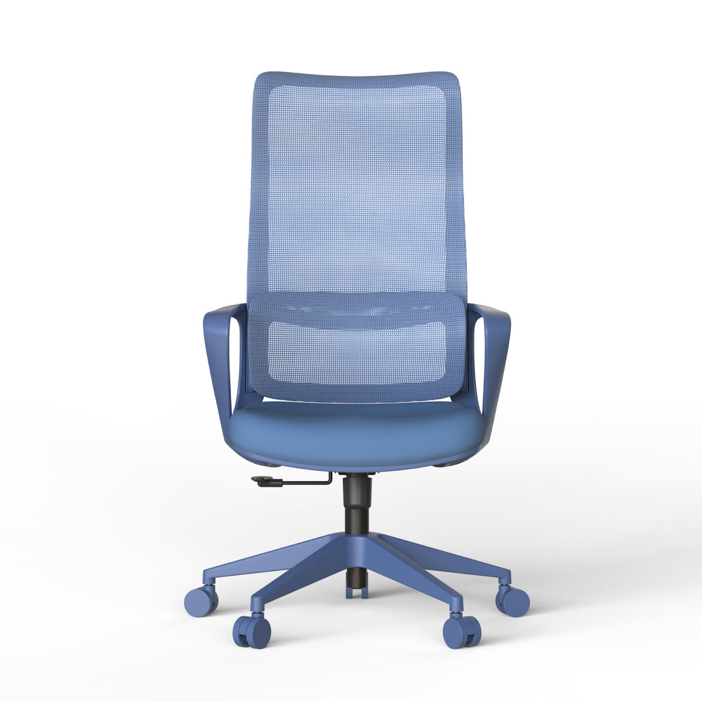Ergonomic Colorful Office Chair 350LBS Home Office Mesh Breathable High Back, With Adjustable Lumbar Support Computer Chair, 