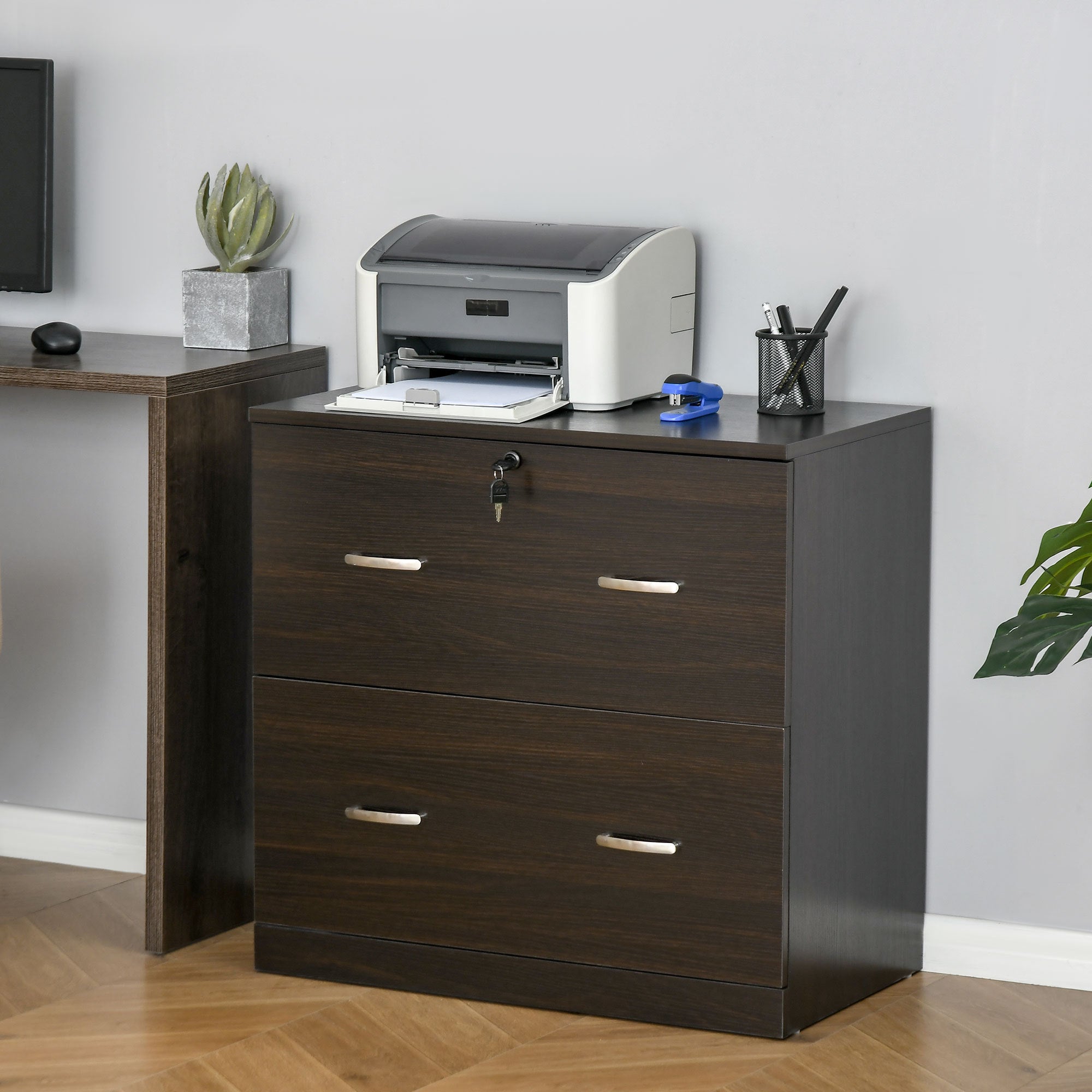 Vinsetto 2-Drawer File Cabinet with Lock and Keys, Vertical Storage Filing Cabinet with Hanging Bar for Letter Size, Home Off