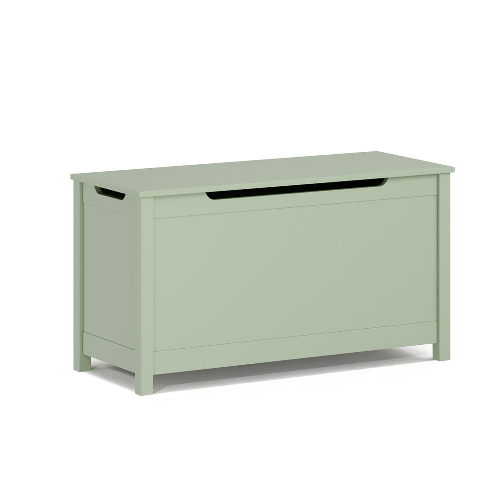 Kids Wooden Toy Box Storage with Safety Hinged Lid for Ages 2+ (Sage) - Grand Goldman