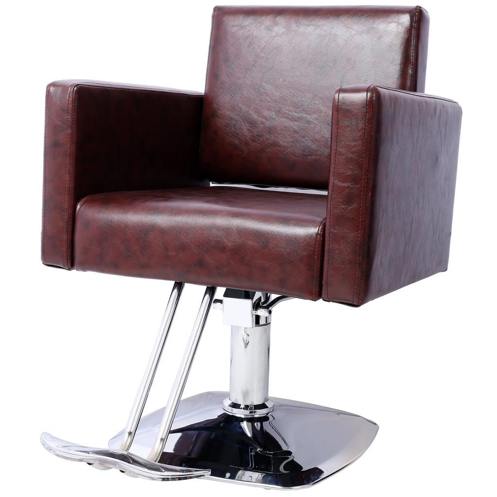 Salon Chair for Hair Stylist 360° Swivel with Heavy Duty Hydraulic Pump, Max Load Weight 330 lbs, Spa Beauty Equipment for Ba