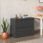 Modern Black 2-Drawer Steel Lateral File Cabinet with Lock for Legal/Letter/A4/F4 Size - Grand Goldman