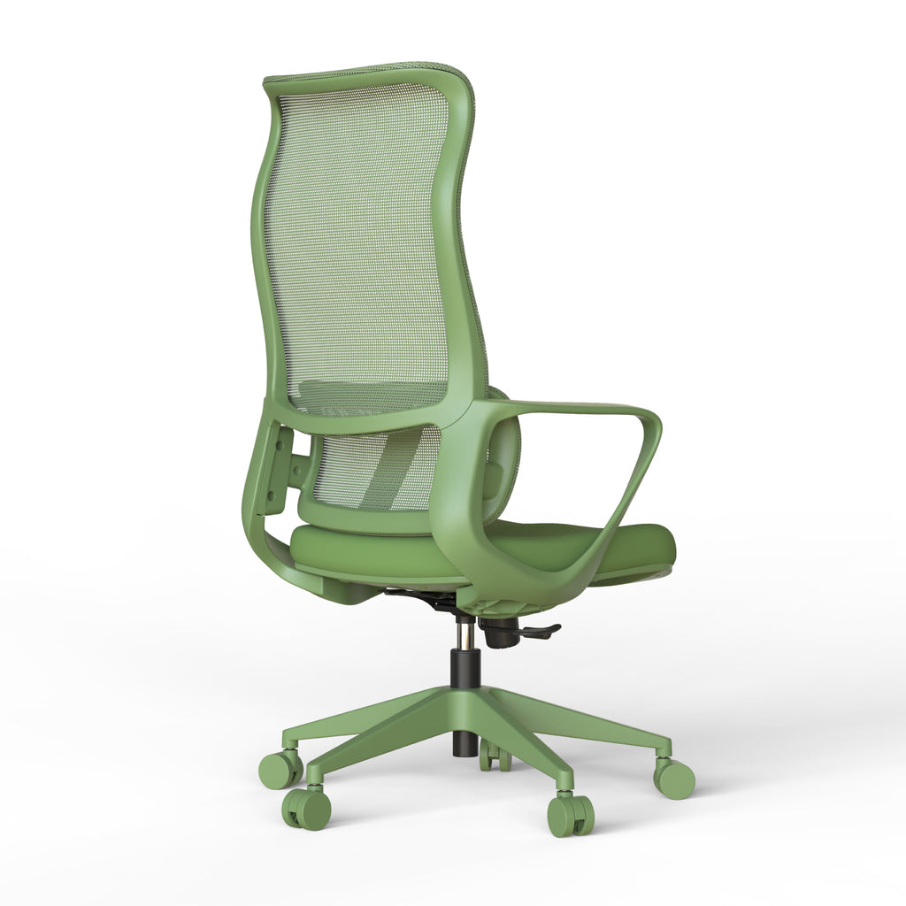 Ergonomic Colorful Office Chair 350LBS Home Office Mesh Breathable High Back, With Adjustable Lumbar Support Computer Chair, 