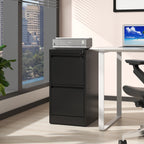 Black Steel 2 Drawer Vertical File Cabinet with Lock for A4 Legal/Letter Size - Grand Goldman