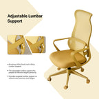 Ergonomic Colorful Office Chair 350LBS Home Office Mesh Breathable High Back, With Adjustable Lumbar Support Computer Chair, 