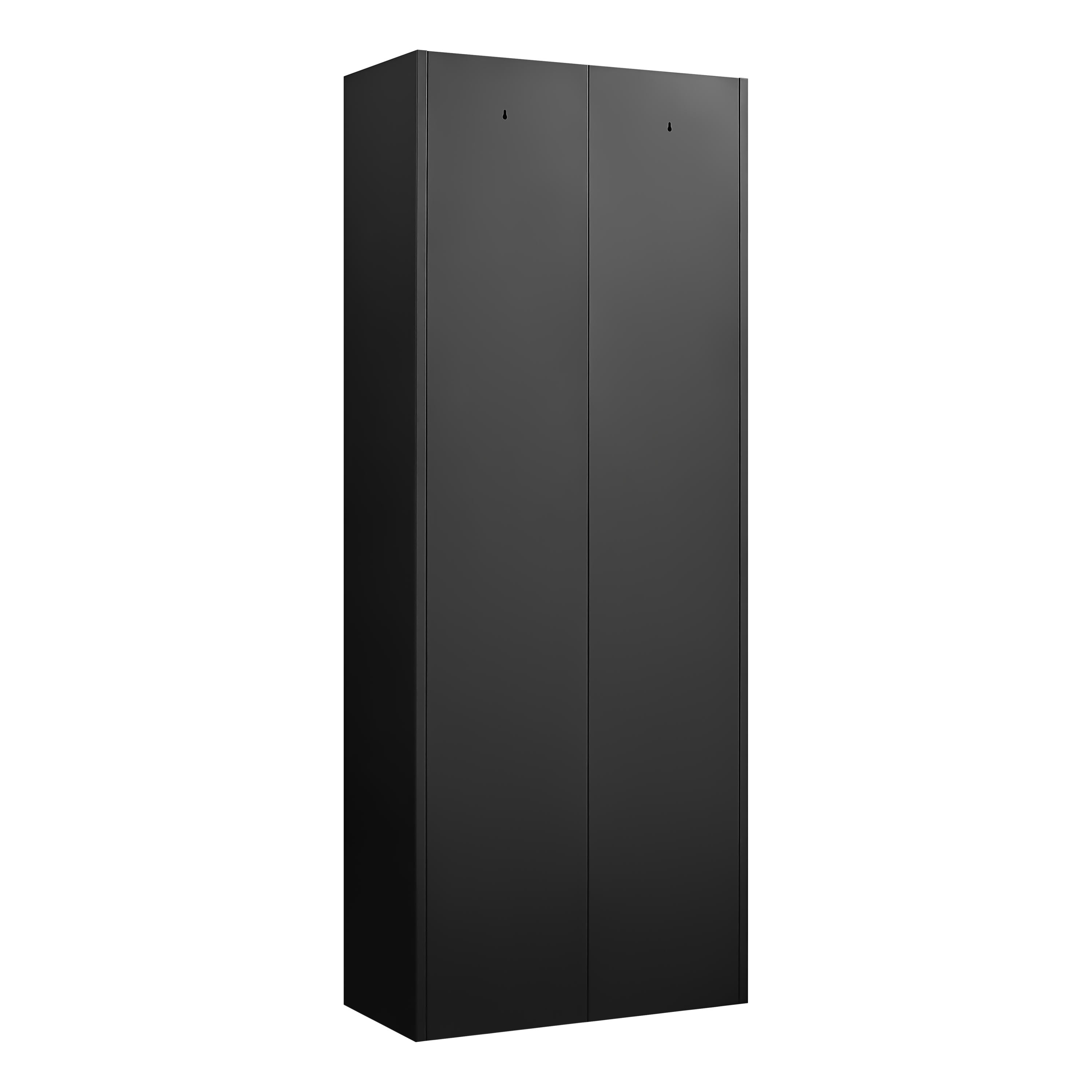 Black Metal Kitchen Pantry Cabinet with Adjustable Shelves and Gold Handles, Tall Steel Storage Locker for Kitchen, Living Ro