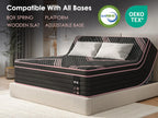 Queen Size Mattress,10 Inch Hybrid Mattress, Individually Pocketed Innerspring, Medium Firm - Grand Goldman Shop