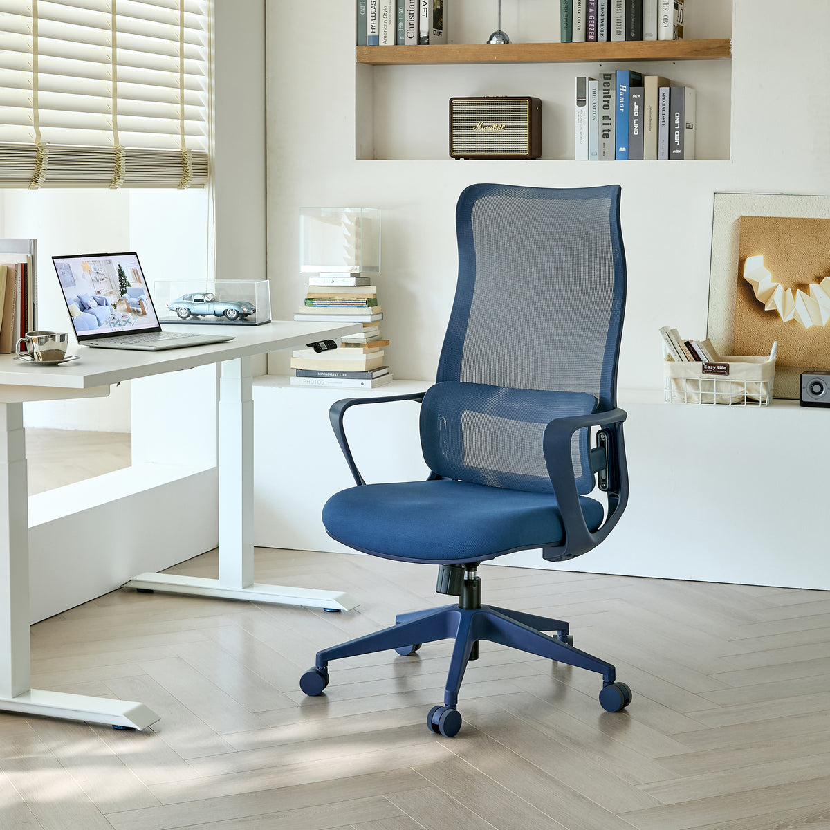 Ergonomic Colorful Office Chair 350LBS Home Office Mesh Breathable High Back, With Adjustable Lumbar Support Computer Chair, 