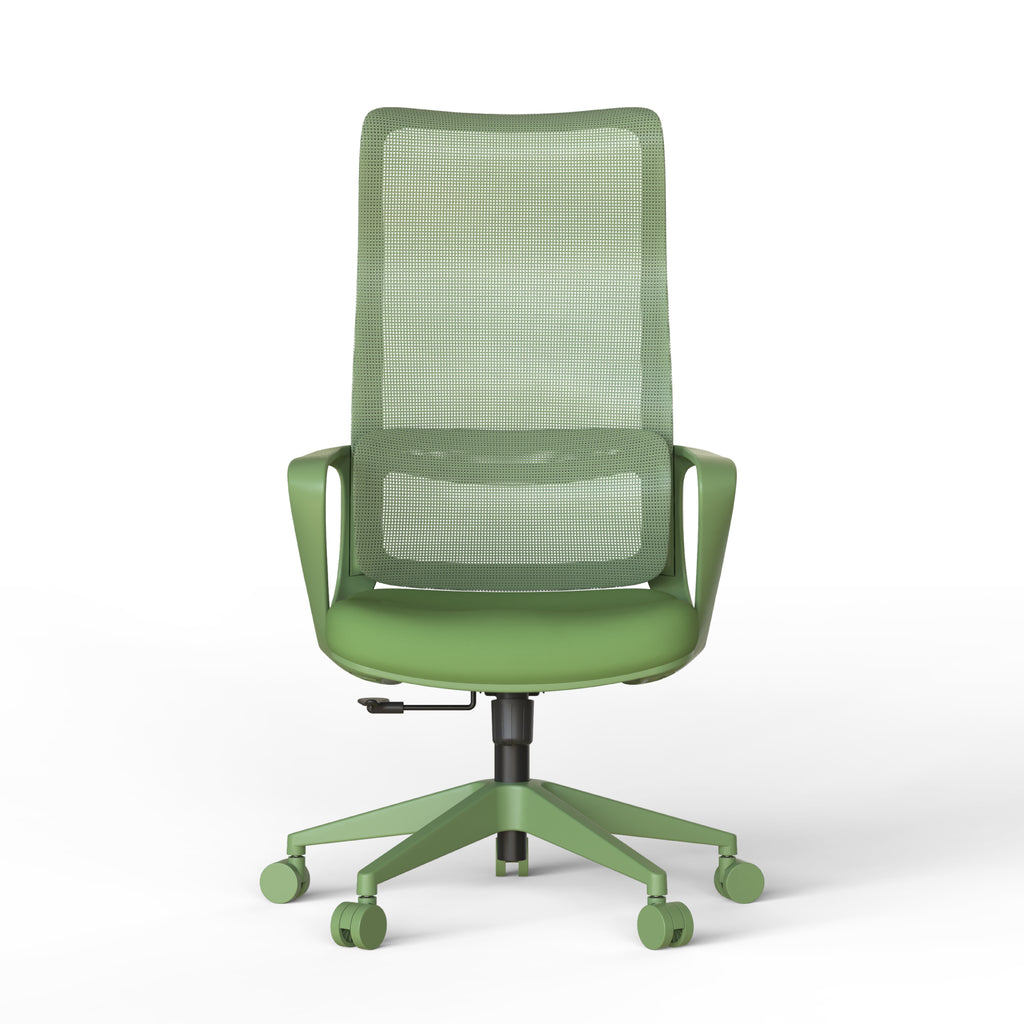 Ergonomic Colorful Office Chair 350LBS Home Office Mesh Breathable High Back, With Adjustable Lumbar Support Computer Chair, 