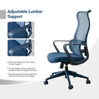 Ergonomic Colorful Office Chair 350LBS Home Office Mesh Breathable High Back, With Adjustable Lumbar Support Computer Chair, 