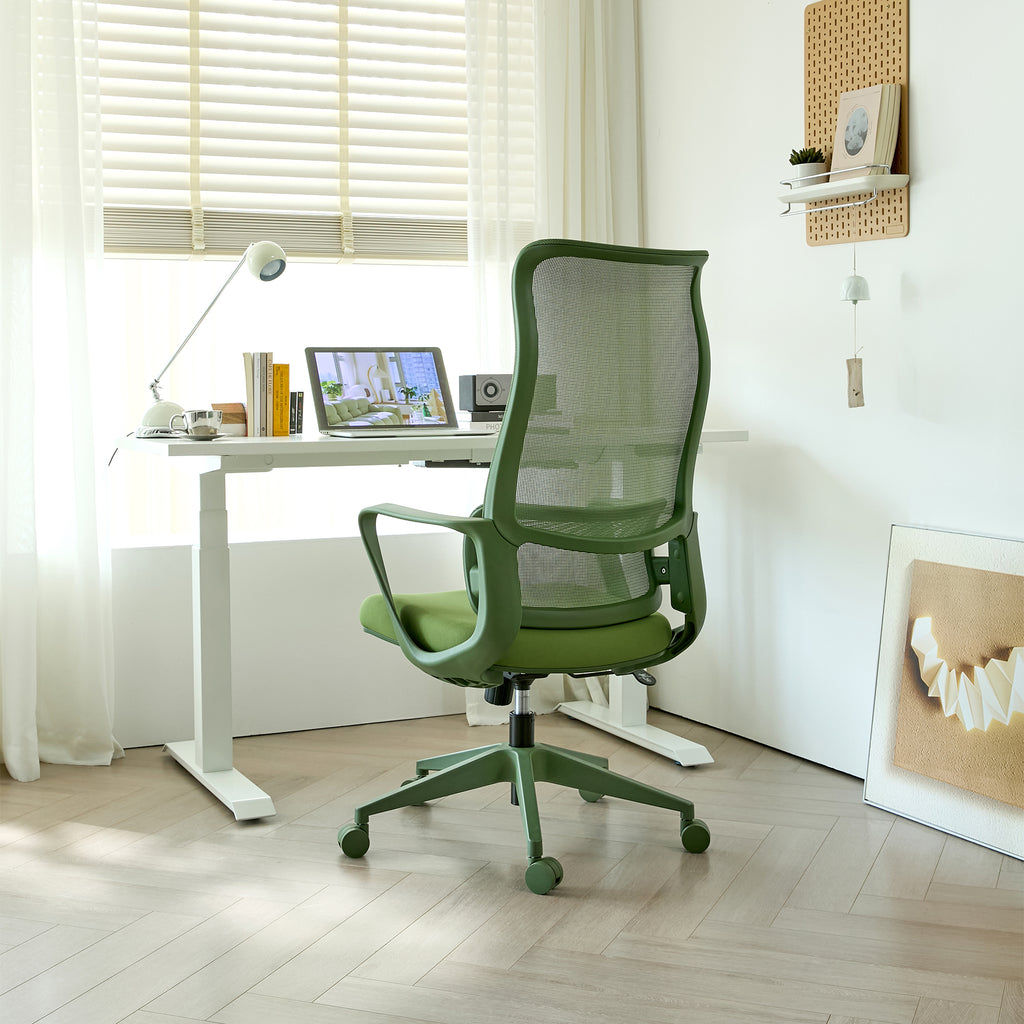 Ergonomic Colorful Office Chair 350LBS Home Office Mesh Breathable High Back, With Adjustable Lumbar Support Computer Chair, 