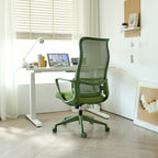 Ergonomic Colorful Office Chair 350LBS Home Office Mesh Breathable High Back, With Adjustable Lumbar Support Computer Chair, 