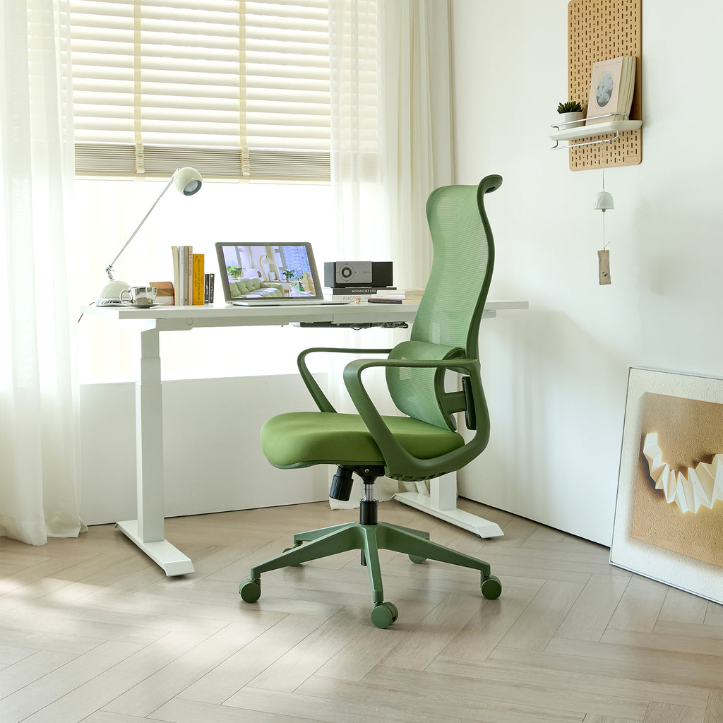 Ergonomic Colorful Office Chair 350LBS Home Office Mesh Breathable High Back, With Adjustable Lumbar Support Computer Chair, 