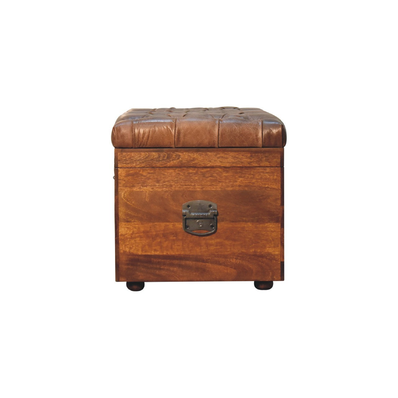 Solid Wood Buffalo Leather Upholstered Hide Chestnut Storage Trunk, Tan & Brown - Grand Goldman Shop