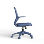 Ergonomic Color Office Chair 350LBS, Home Office, Mesh Back, Integrated Molded Foam, Comfortable Sitting, Flipping Armrest, F