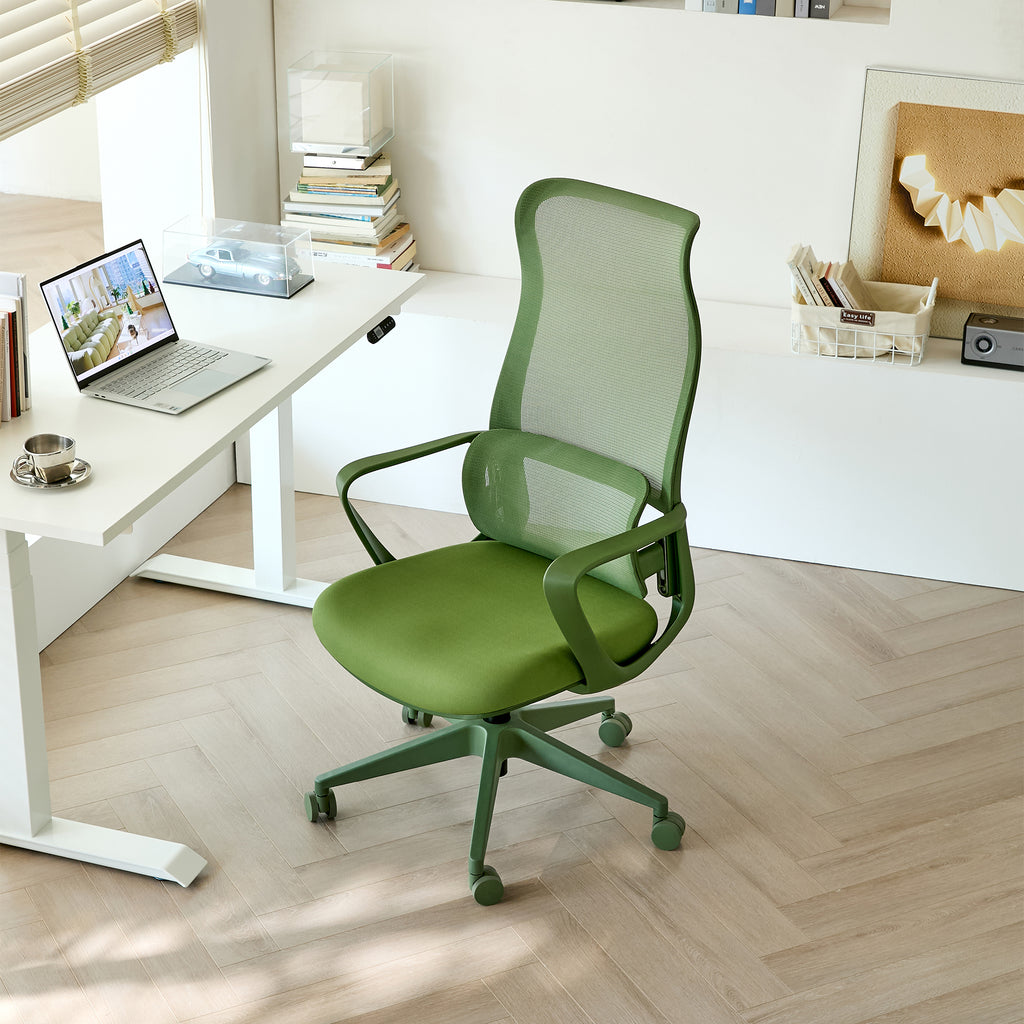 Ergonomic Colorful Office Chair 350LBS Home Office Mesh Breathable High Back, With Adjustable Lumbar Support Computer Chair, 