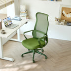 Ergonomic Colorful Office Chair 350LBS Home Office Mesh Breathable High Back, With Adjustable Lumbar Support Computer Chair, 