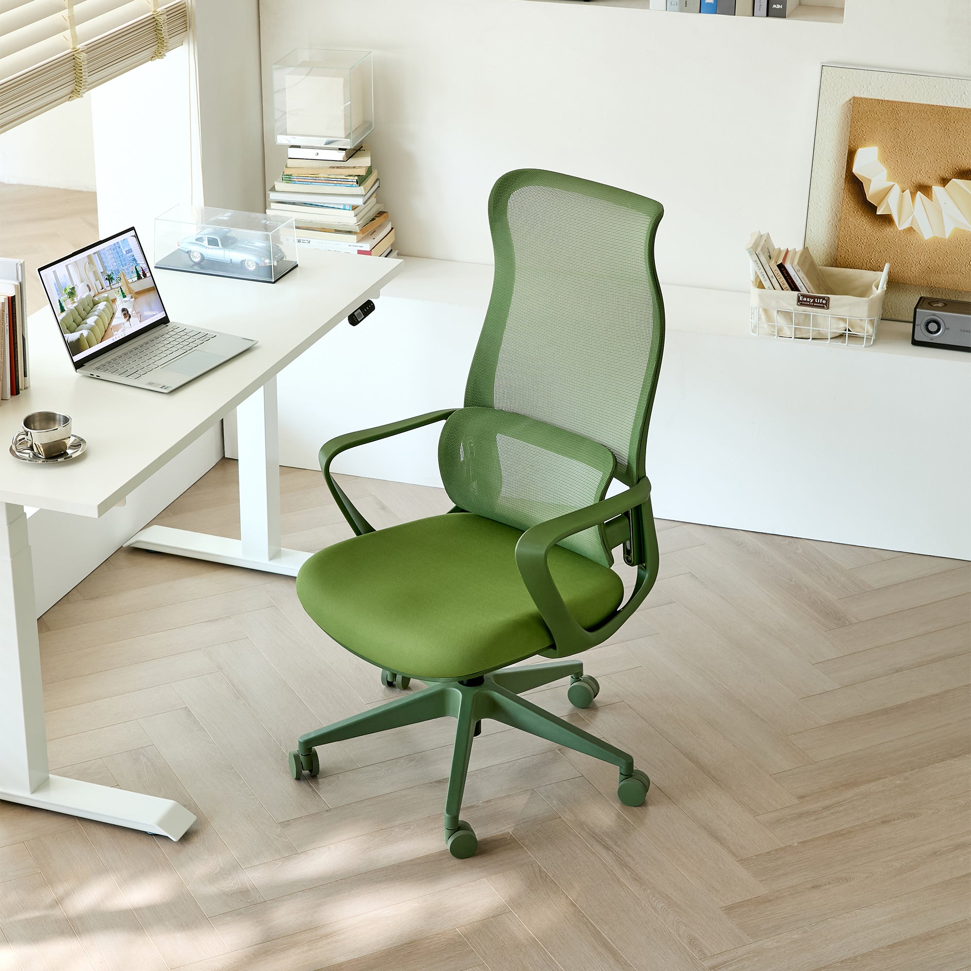 Ergonomic Colorful Office Chair 350LBS Home Office Mesh Breathable High Back, With Adjustable Lumbar Support Computer Chair, 